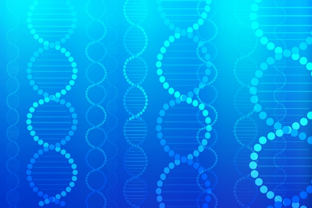 遺伝的つながりを理解する